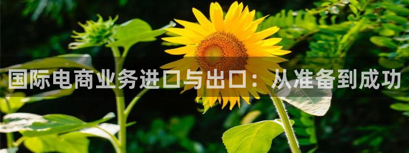 琳琅科技娱乐机器人插件