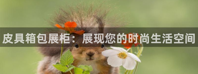 琳琅娱乐在线观看