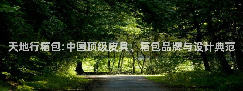 娱乐从琳琅榜开始的小说