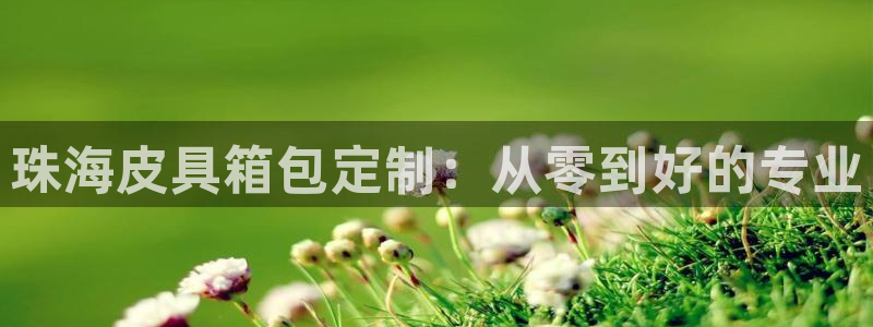 琳琅作者娱乐圈女主