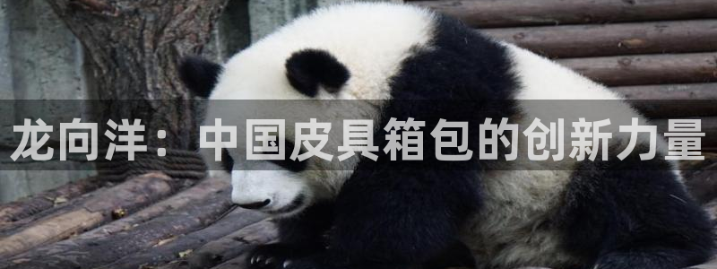 琳琅娱乐周7O777