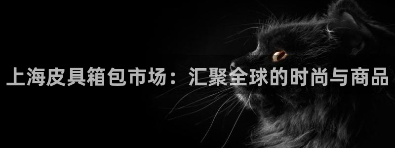 qq琳琅科技娱乐机器人