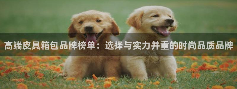 琳琅社区文艺娱乐