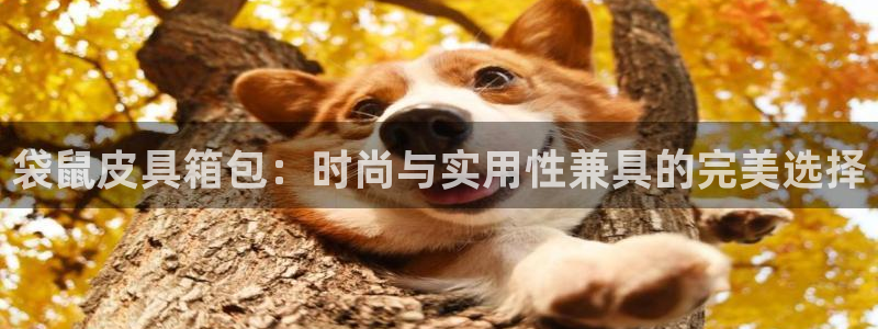 琳琅娱乐主管是谁