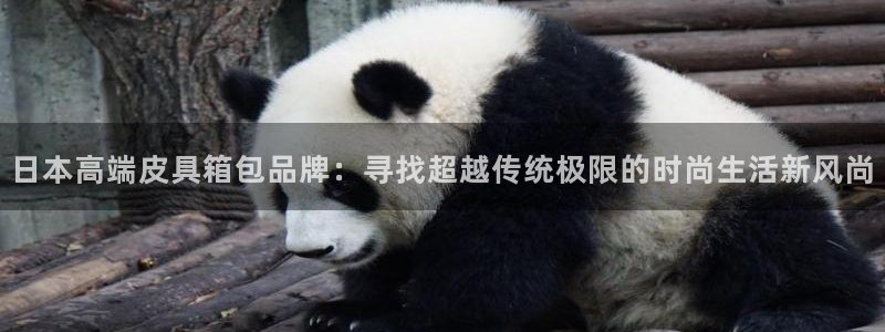 祖龙娱乐官网爱在琳琅