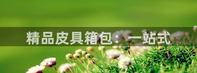 琳琅娱乐在线注册