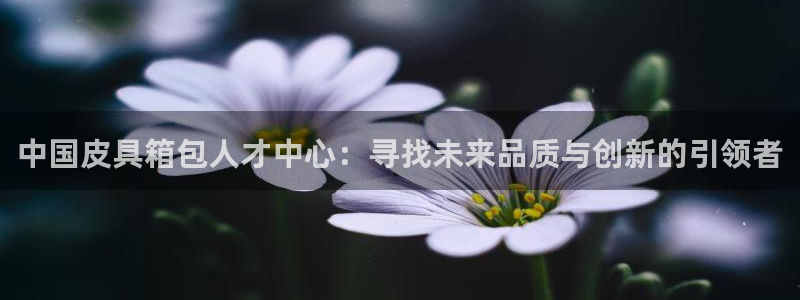 琳琅娱乐代理21192