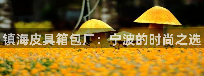 琳琅科技娱乐机器人