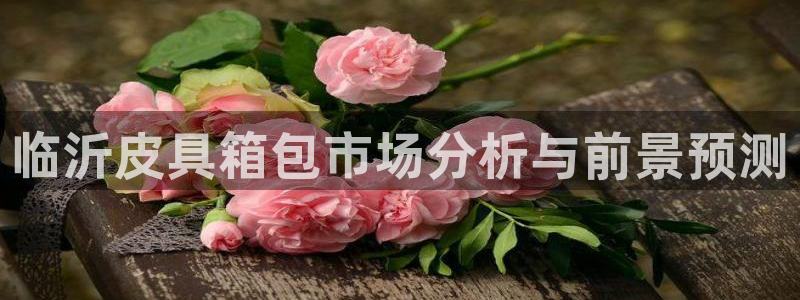 琳琅社区综艺文化娱乐