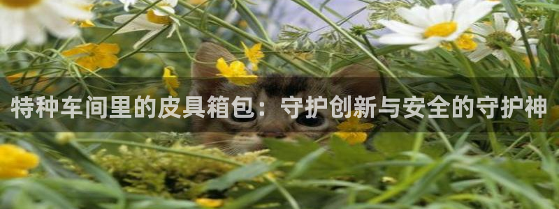 梧州琳琅娱乐城