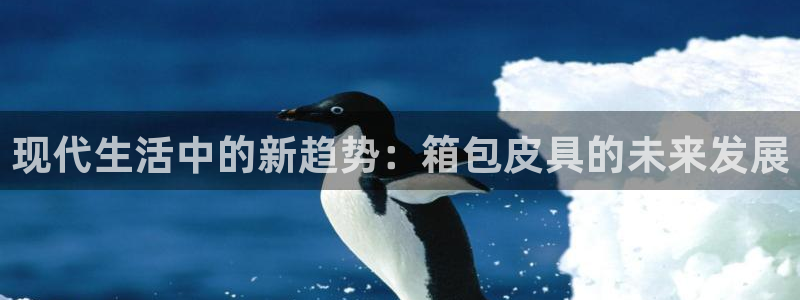 琅琳琅娱乐