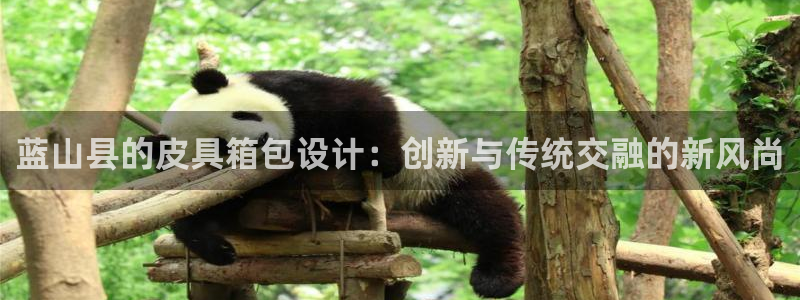琳琅娱乐代理人是谁