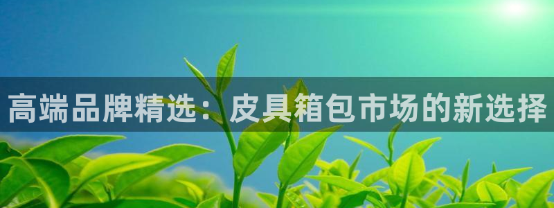祖龙娱乐官网爱在琳琅
