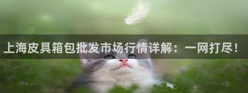 琳琅科技娱乐机器人插件