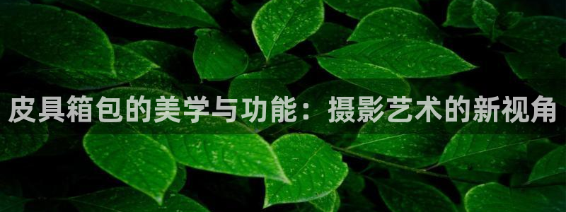 qq飞车琳琅娱乐组