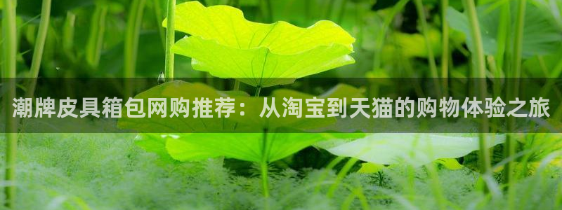 琳琅娱乐代理