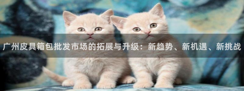琳琅娱乐信誉33300