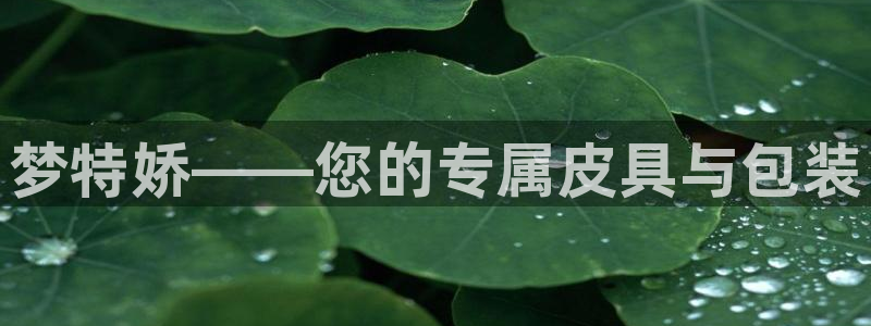 琳琅娱乐温柔乡网站