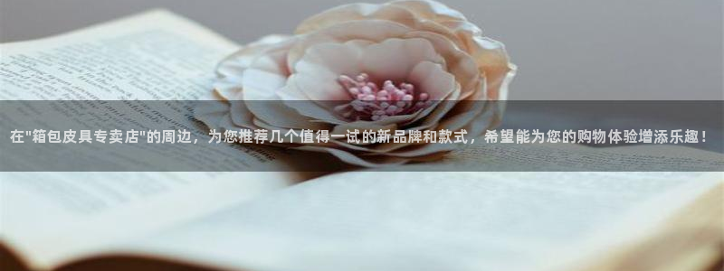 琳琅娱乐招商