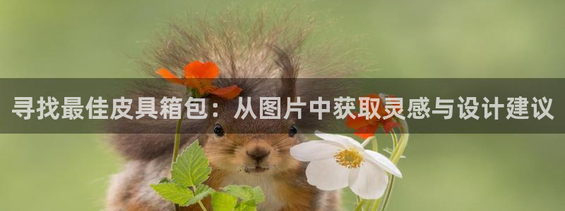 琳琅娱乐直播