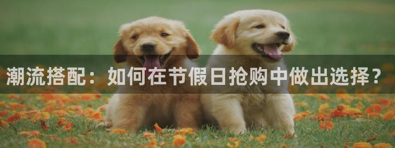 琳琅谈娱乐