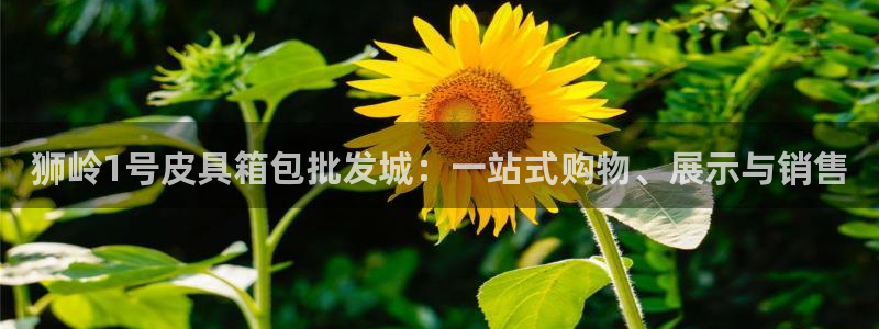琳琅娱乐工作室招聘信息