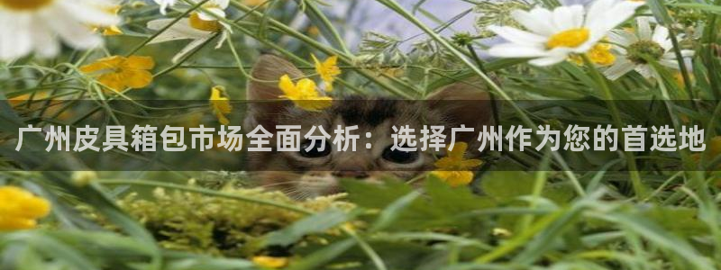 琳琅娱乐登入