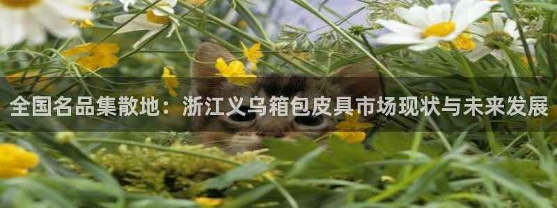 琳琅娱乐平台怎么样可靠吗