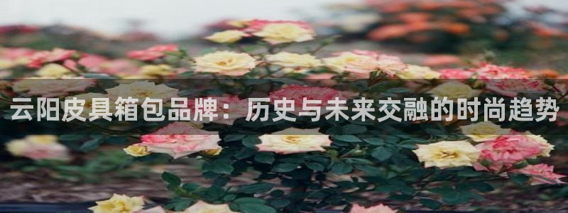 琳琅娱乐在哪直播的