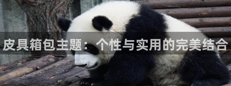 琳琅娱乐平台注册